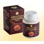 Shuang Hor Yung Kien S Ganoderma (Tablet) <br> 勇健 Yung Kien 灵芝 S (锭片) (HALAL)